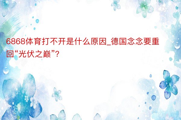 6868体育打不开是什么原因_德国念念要重回“光伏之巅”？